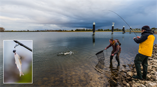 Einde gesloten tijden: 27 mei!
