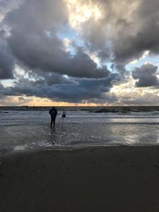 Einduitslag van de Topcompetitie Kustvissen Dames en Junioren 2017