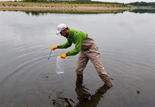 Environmental DNA (eDNA)