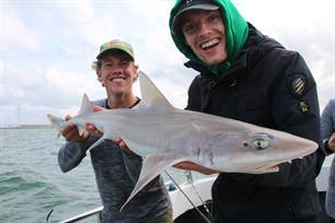 Enzo Knol naar de haaien! (video)