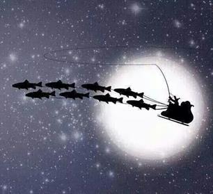 Fijne feestdagen en een gezond en visrijk 2021 gewenst!