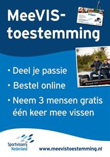 Gebruik de gratis MeeVIStoestemming (video)