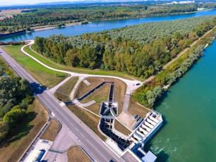 Geknakte aal op bord