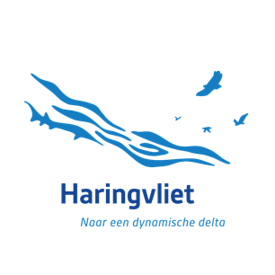 Geslaagde informatieavond Droomfonds Haringvliet 
