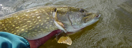 Gesloten tijden: zo zit het!