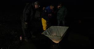 Glasaal uit het (diepste) dal?