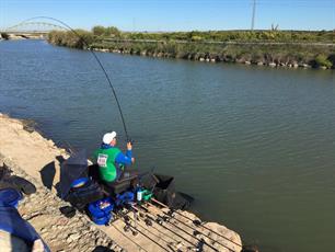 Gooi naar tweede gouden feederplak