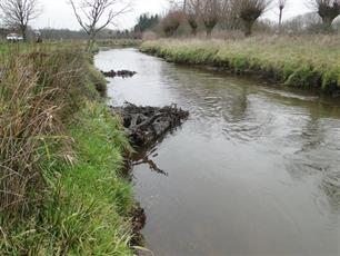 Grote winst door kleinschalige maatregelen : Verbetering van de beekecologie in de Dommer