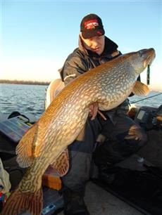 Hét Visblad april 2008