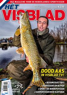 Hét Visblad online januari 2014
