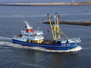 (H)eerlijke vis : Balans tussen vraag van consument en voortbestaan van visserijsector