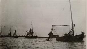 Haring in het Haringvliet