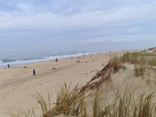 Hengelsport Westland aan kop in Nationale Teamcompetitie Kustvissen