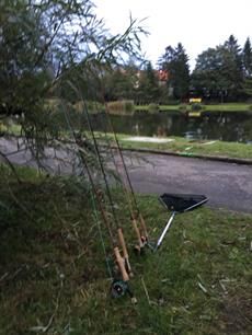 Het Europees Kampioenschap Vliegvissen 2016