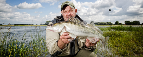Hét VISblad archief: roofvissen 