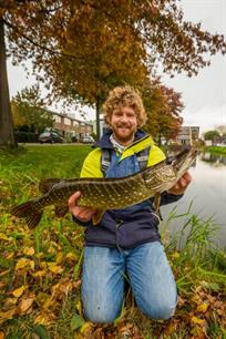 Hét VISblad online archief: roofvissen