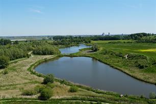 Hotspot - Hoge en Lage Bergse Bos (Rotterdam)