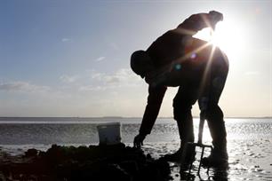 Hotspots - spitvakken (Zeeland)