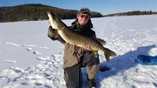 IJsvissen - tips, regels en waar je op moet letten