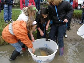 ik durf m aan te raken