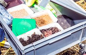 IMG 7935 (Small) - kopie