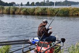 Ingeborg Audenaerd (Small)