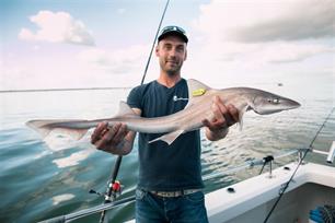 Inschrijving Sharkatag 2018 geopend