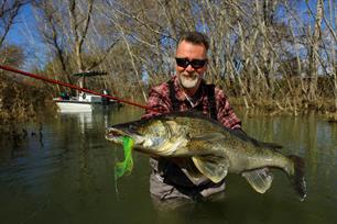 Interview EFTTA-topman Olivier Portrat