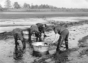 Karper door de jaren heen