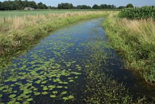 Karper in Wildernis onder water op NPO 2 (video)