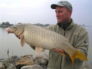 Karper - Zo maak je de perfecte rig (video)