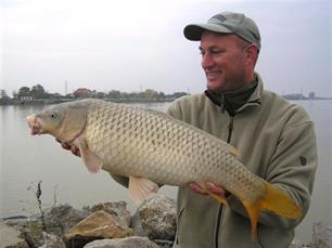 Karpergeschiedenis in Europa