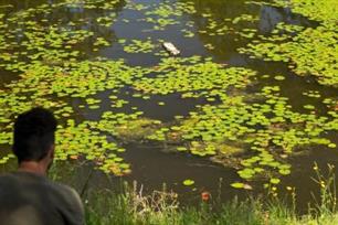 Karpervissen - 'back to basic' met Pascal Kik