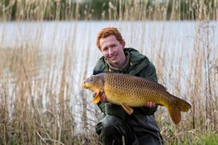Karpervissen: black soldier fly boilie