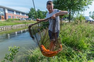Karpervissen: brood én brokken