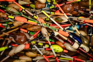 Karpervissen: drijvende kunstwerkjes