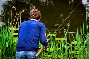 Karpervissen: freelinen op karper
