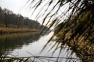 Karpervissen - op jacht naar Flevokarpers