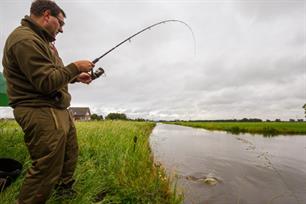 Karpervissen: pennen met de picker