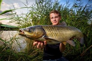 Karpervissen - pennen op graskarper