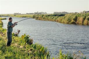 Karpervissen: retro penvissen