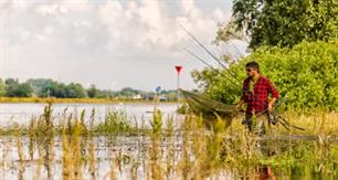 Karpervissen: rivierkarpers in de uiterwaarden