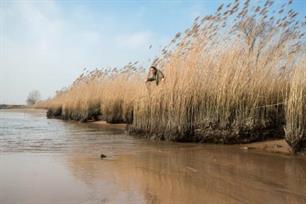 Karpervissen - rivierstekken ontdekken
