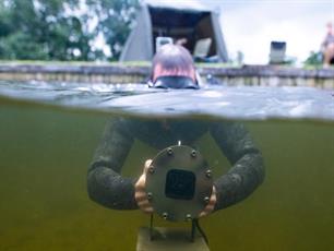 Karpervissen: snorkelen en karpervissen