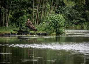 Karpervissen - succesvol herfstkarperen