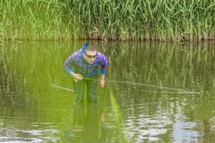 Karpervissen: wadend vissen in de woonwijk