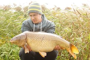 Karpervissen: Zeeuws-Vlaamse kreken