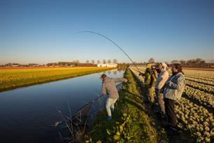 Kick-off VIS TV 2022 (video)