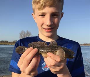 'Kleine' records  (video)