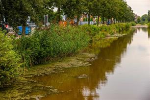 Kleurkeur Blauw: certificaat ecologisch beheer watergangen